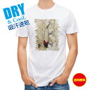 釣り Tシャツ アウトドア ビンテージルアー 釣り 魚 ルアー T シャツ メンズ 半袖 ロゴ 文字 春 夏 秋 インナー 安い 面白い 大きいサイズ 洗濯 ポ...