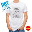釣り Tシャツ アウトドア 川の狩人カワセミ 釣り 魚 ルアー T シャツ メンズ 半袖 ロゴ 文字 春 夏 秋 インナー 安い 面白い 大きいサイズ 洗濯 ポ...