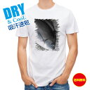 釣り Tシャツ アウトドア オナガグレ2 釣り 魚 ルアー T シャツ メンズ 半袖 ロゴ 文字 春 夏 秋 インナー 安い 面白い 大きいサイズ 洗濯 ポリエ...