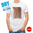 釣り Tシャツ アウトドア マダイのウロコ 釣り 魚 ルアー T シャツ メンズ 半袖 ロゴ 文字 春 夏 秋 インナー 安い 面白い 大きいサイズ 洗濯 ポリ...