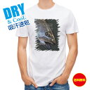 釣り Tシャツ アウトドア イトウ 釣り 魚 ルアー T シャツ メンズ 半袖 ロゴ 文字 春 夏 秋 インナー 安い 面白い 大きいサイズ 洗濯 ポリエステル...