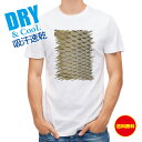 釣り Tシャツ アウトドア コイのウロコ 釣り 魚 ルアー T シャツ メンズ 半袖 ロゴ 文字 春 夏 秋 インナー 安い 面白い 大きいサイズ 洗濯 ポリエ...