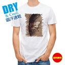 釣り Tシャツ アウトドア オナガ 焼印入り 釣り 魚 ルアー T シャツ メンズ 半袖 ロゴ 文字 春 夏 秋 インナー 安い 面白い 大きいサイズ 洗濯 ポ...