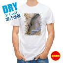 釣り Tシャツ アウトドア タマン(ハマフエフキ) 釣り 魚 ルアー T シャツ メンズ 半袖 ロゴ 文字 春 夏 秋 インナー 安い 面白い 大きいサイズ 洗...