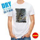釣り Tシャツ アウトドア イサキ 釣り 魚 ルアー T シャツ メンズ 半袖 ロゴ 文字 春 夏 秋 インナー 安い 面白い 大きいサイズ 洗濯 ポリエステル...