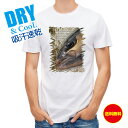 釣り Tシャツ アウトドア カンパチ グレーターアンバージャック 釣り 魚 ルアー T シャツ メンズ 半袖 ロゴ 文字 春 夏 秋 インナー 安い 面白い 大...