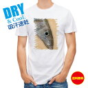 釣り Tシャツ アウトドア 砂浜の女王・キス 釣り 魚 ルアー T シャツ メンズ 半袖 ロゴ 文字 春 夏 秋 インナー 安い 面白い 大きいサイズ 洗濯 ポ...