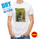 釣り Tシャツ アウトドア バスがバイトした瞬間の出来事 釣り 魚 ルアー T シャツ メンズ 半袖 ロゴ 文字 春 夏 秋 インナー 安い 面白い 大きいサイ...