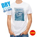 釣り Tシャツ アウトドア マグロの種類は5種類 釣り 魚 ルアー T シャツ メンズ 半袖 ロゴ 文字 春 夏 秋 インナー 安い 面白い 大きいサイズ 洗濯...