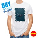 釣り Tシャツ アウトドア アンコウ anglerfish 釣り 魚 ルアー T シャツ メンズ 半袖 ロゴ 文字 春 夏 秋 インナー 安い 面白い 大きいサ...