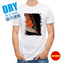 釣り Tシャツ アウトドア アロワナの目 釣り 魚 ルアー T シャツ メンズ 半袖 ロゴ 文字 春 夏 秋 インナー 安い 面白い 大きいサイズ 洗濯 ポリエ...