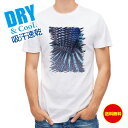 釣り Tシャツ アウトドア トラディショナル・ベタのウロコ 釣り 魚 ルアー 熱帯魚 T シャツ メンズ 半袖 ロゴ 文字 春 夏 秋 インナー 安い 面白い ...