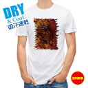 釣り Tシャツ アウトドア カサゴ 鉄錆 釣り 魚 ルアー T シャツ メンズ 半袖 ロゴ 文字 春 夏 秋 インナー 安い 面白い 大きいサイズ 洗濯 ポリエ...