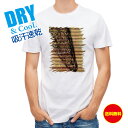 釣り Tシャツ アウトドア ライギョ 鉄錆 釣り 魚 ルアー T シャツ メンズ 半袖 ロゴ 文字 春 夏 秋 インナー 安い 面白い 大きいサイズ 洗濯 ポリ...