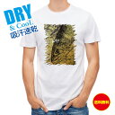 釣り Tシャツ アウトドア アユ 鉄錆 釣り 魚 ルアー T シャツ メンズ 半袖 ロゴ 文字 春 夏 秋 インナー 安い 面白い 大きいサイズ 洗濯 ポリエス...