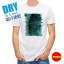 釣り Tシャツ アウトドア オナガグレ(クロメジナ) 鉄錆 釣り 魚 ルアー T シャツ メンズ 半袖 ロゴ 文字 春 夏 秋 インナー 安い 面白い 大きいサ...