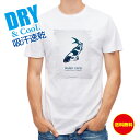 釣り Tシャツ アウトドア 錦鯉(アジアン カープ) ホワイト 釣り 魚 ルアー T シャツ メンズ 半袖 ロゴ 文字 春 夏 秋 インナー 安い 面白い 大き...