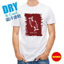 釣り Tシャツ アウトドア 錦鯉 紅白 Koi Fish レッド 釣り 魚 ルアー T シャツ メンズ 半袖 ロゴ 文字 春 夏 秋 インナー 安い 面白い 大...