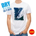 釣り Tシャツ アウトドア カツオ 釣り 魚 ルアー T シャツ メンズ 半袖 ロゴ 文字 春 夏 秋 インナー 安い 面白い 大きいサイズ 洗濯 ポリエステル...