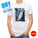 釣り Tシャツ アウトドア カツオ バージョン2 釣り 魚 ルアー T シャツ メンズ 半袖 ロゴ 文字 春 夏 秋 インナー 安い 面白い 大きいサイズ 洗濯...