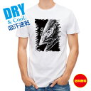 釣り Tシャツ アウトドア 平政(ヒラマサ)墨絵風 黒 釣り 魚 ルアー T シャツ メンズ 半袖 ロゴ 文字 春 夏 秋 インナー 安い 面白い 大きいサイズ...