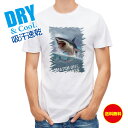 釣り Tシャツ アウトドア サメ「ジョーズ」(JAWS) 釣り 魚 ルアー T シャツ メンズ 半袖 ロゴ 文字 春 夏 秋 インナー 安い 面白い 大きいサイ...