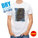 釣り Tシャツ アウトドア 砂の王者・ヒラメ 釣り 魚 ルアー T シャツ メンズ 半袖 ロゴ 文字 春 夏 秋 インナー 安い 面白い 大きいサイズ 洗濯 ポ...