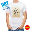 かわいい Tシャツ 白黒猫の日常 ネコ ねこ 雑貨 T シャツ レディース 半袖 ロゴ 文字 春 夏 秋 インナー 安い 面白い 大きいサイズ 洗濯 ポリエステル 送料無料