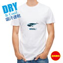 かわいい Tシャツ ホエールウォッチング 鯨 くじら 動物 T シャツ レディース 半袖 ロゴ 文字 春 夏 秋 インナー 安い 面白い 大きいサイズ 洗濯 ポリエステル 送料無料