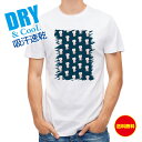 かわいい Tシャツ 夢見る猫 ネコ ねこ 雑貨 T シャツ レディース 半袖 ロゴ 文字 春 夏 秋 インナー 安い 面白い 大きいサイズ 洗濯 ポリエステル 送料無料