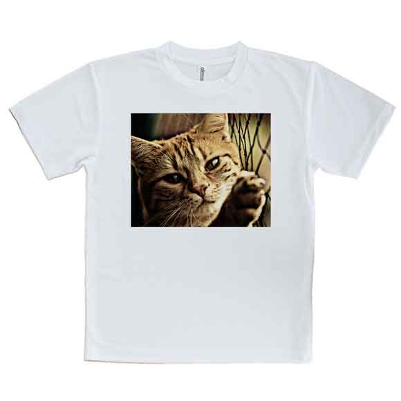 かわいい Tシャツ ビンテージな猫 ネコ 猫 ...の紹介画像3