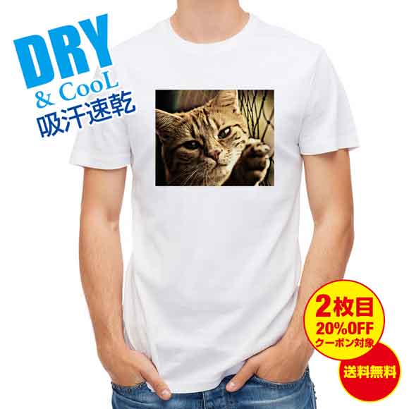かわいい Tシャツ ビンテージな猫 ネコ 猫 ね...の商品画像