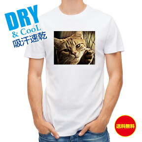 かわいい Tシャツ ビンテージな猫 ネコ 猫 ねこ 雑貨 かわいい T シャツ メンズ 半袖 ロゴ 文字 春 夏 秋 インナー 安い 面白い 大きいサイズ 洗濯 ポリエステル 送料無料