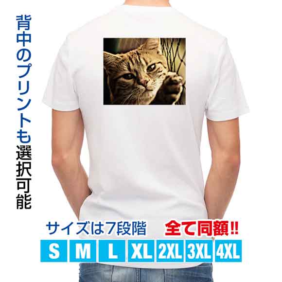 かわいい Tシャツ ビンテージな猫 ネコ 猫 ...の紹介画像2