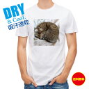 かわいい Tシャツ ニャンモナイト 猫 ネコ ねこ 雑貨 かわいい T シャツ メンズ 半袖 ロゴ 文字 春 夏 秋 インナー 安い 面白い 大きいサイズ 洗濯 ポリエステル 送料無料