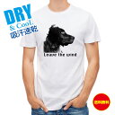 かわいい Tシャツ 風吹くままに 犬 イヌ いぬ 雑貨 かわいい T シャツ メンズ 半袖 ロゴ 文字 春 夏 秋 インナー 安い 面白い 大きいサイズ 洗濯 ポリエステル 送料無料