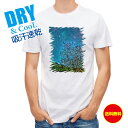 かわいい Tシャツ 星空のグランジ 宇宙 星 星座 キラキラ T シャツ レディース 半袖 ロゴ 文字 春 夏 秋 インナー 安い 面白い 大きいサイズ 洗濯 ポリエステル 送料無料