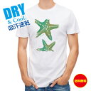 釣り Tシャツ アウトドア Starfish ヒトデ 釣り 魚 ルアー T シャツ メンズ 半袖 ロゴ 文字 春 夏 秋 インナー 安い 面白い 大きいサイズ ...