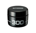 ダイワ SLPW メンテナンスグリス 300 10g daiwa