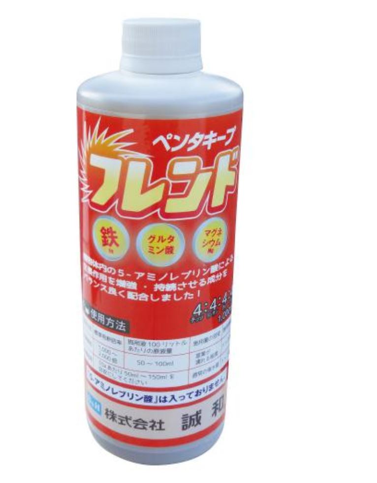 ペンタキープフレンド1Lです。 ペンタキープフレンドは5-アミノレブリン酸（5-ALA）入り肥料「ペンタキープハイパー」の効果をより高めるために開発された液体肥料で、5-ALAの効果を促進し、維持する成分を含んでいます。（ペンタキープフレンドに5-ALAは入っていません。） ペンタキープフレンドのN4・P4・K4がペンタキープの生育促進効果により一時的に不足しがちな肥料を補います。 グルタミン酸は植物体内における5-ALAの原料で、ペンタキープの作用で5-ALAの合成が促進された時に即効性のある原料となり、5-ALA合成の効率とスピードを高めます。 マグネシウムは5-ALAと結びつきクロロフィル（葉緑素）になります。ペンタキープ中の5-ALAの作用でクロロフィル合成が活性化されたときに原料となり、クロロフィルが速やかに増加して植物の光合成能力を高めます。 鉄は5-ALAと結ぶ付きヘムになります。ヘムは硝酸還元酵素や5-ALA合成酵素など多くの補酵素として働き、活性と肥効を促進します。 使用方法 ペンタキープフレンドはペンタキープに配合されている5-アミノレブリン酸(ALA)の効果の増強、維持を目的として開発された液体肥料です。 ペンタキープフレンド自体にはALAは配合しておらず、ALAの効果発現においてカギとなる物質であるグルタミン酸、マグネシウム、鉄及びそれらの効果をより高める肥料成分、金属元素の吸収を促進するクエン酸を配合しています。 ペンタキープとの混合施用でより光合成を促進し、収量増加、品質向上、不良環境耐性向上等の効果が期待できます。 ペンタキープの施用開始期、急激な樹勢低下時、不良環境時(低日照、高温、低温等)により効果を発揮します。 使用方法 ペンタキープを希釈した液に希釈倍率2000倍にて混合してください。 ペンタキープフレンド(標準希釈倍率2,000倍) 成分の特徴 ・グルタミン酸 グルタミン酸は植物体内における5-ALAの原料です。「ペンタキープ」中の5-アミノレブリン酸(ALA)で植物体内でのALA生成が促進されたとき、即効性のある原料となりALA合成の効率とスピードを高めます。 ・マグネシウム マグネシウムは5-ALAと結びつきクロロフィルになります。5-ALAとマグネシウムが同時に供給されることでクロロフィルが速やかに増加して植物の光合成能力を高めます。 ・鉄 鉄は5-ALAと結びつきヘムになります。ヘムにはヘム酵素、シロヘム等の物質があり植物の生理活性に大きく関与しています。代表的なものとして、硝酸・亜硝酸還元酵素(肥効促進)、シトクロム(電子伝達系)、カタラーゼ(環境ストレス耐性向上)等があります。 ・クエン酸 キレート作用があり、マグネシウム、鉄等の金属元素の吸収を促進します。 ・その他、肥料成分(N、P、K、B、Mn、Zn、Cu、Mo) 植物の生育は必須元素の不足している成分により律速される(リービッヒの最小律)ことが知られています。より生育を安定させるため肥料成分としてマグネシウム、鉄以外にもN、P、Kおよび微量要素をバランスよく配合しています