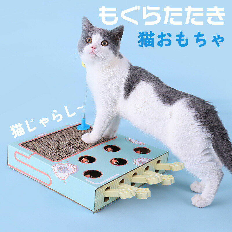 樂天商城 - 猫 おもちゃ 猫じゃらし もぐらたたき 爪とぎ 猫のおもちゃ ペット 猫用品 猫グッズ かわいい 一人遊び