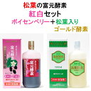 【4日からマラソン】ポイント18倍次回500円クーポン 冨元酵素 ボイセンベリー と 松葉入りゴールド酵素 のコラボ 大臣表彰食品 酵母菌飲料 ファスティング 最適酵素 生きたまま腸に届く 酵母菌ドリンク 腸内フローラ 酵素ドリンク 飲用と料理 富源酵素 ふげんこうそ