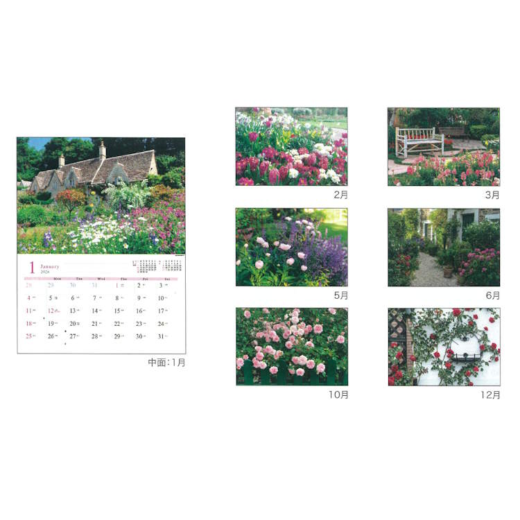 ���󥰥�å��奬���ǥ� 2026ǯ �������� 1000136903 �ɳݤ� �֤ι���� 174604