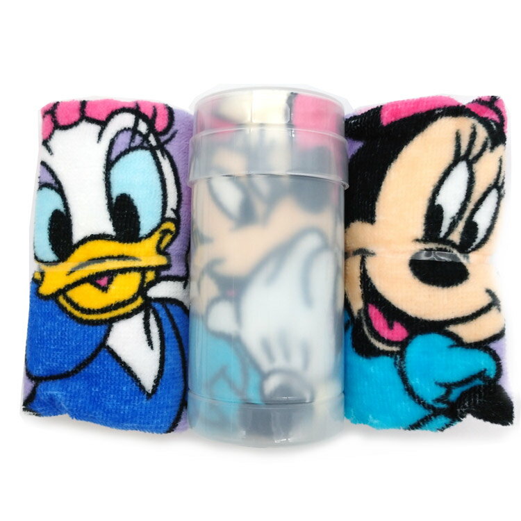 ディズニー ミニー&デイジー ハンドタオル3枚組&専用ケース付き キュートアイテム 755114
