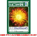 ジャポニカ学習帳 かんじれんしゅう 84字 十字リーダー入り 014904 漢字練習帳 【新柄に変更もあり】