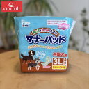 在庫一掃のため特価 第一衛材 P.one マナーパッド 3L レギュラー {409834}