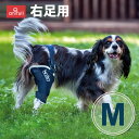 BT JUMP (膝サポーター) 右 Mサイズ 愛犬の膝のトラブルに 膝関節サポーター バルト 送料込 膝 膝関節 圧迫 制限 固定 パテラ 着脱簡単 膝蓋骨 ...