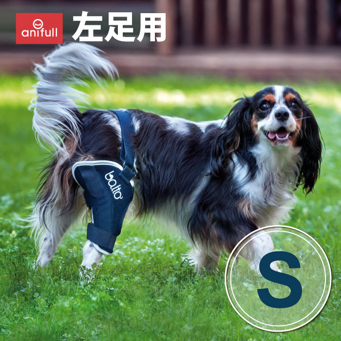 BT JUMP (膝サポーター) 左 Sサイズ 愛犬の膝のトラブルに 膝関節サポーター バルト 送料込 膝 膝関節 圧迫 制限 固定 パテラ 着脱簡単 膝蓋骨 脱臼 亜脱臼 犬用 小型犬 中型犬