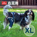 BT JUMP (膝サポーター) 右 XLサイズ 愛犬の膝のトラブルに 膝関節サポーター バルト 送料込 膝 膝関節 圧迫 制限 固定 パテラ 着脱簡単 膝蓋骨...