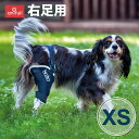BT JUMP (膝サポーター) 右 XSサイズ 愛犬の膝のトラブルに 膝関節サポーター バルト 送料込 膝 膝関節 圧迫 制限 固定 パテラ 着脱簡単 膝蓋骨...